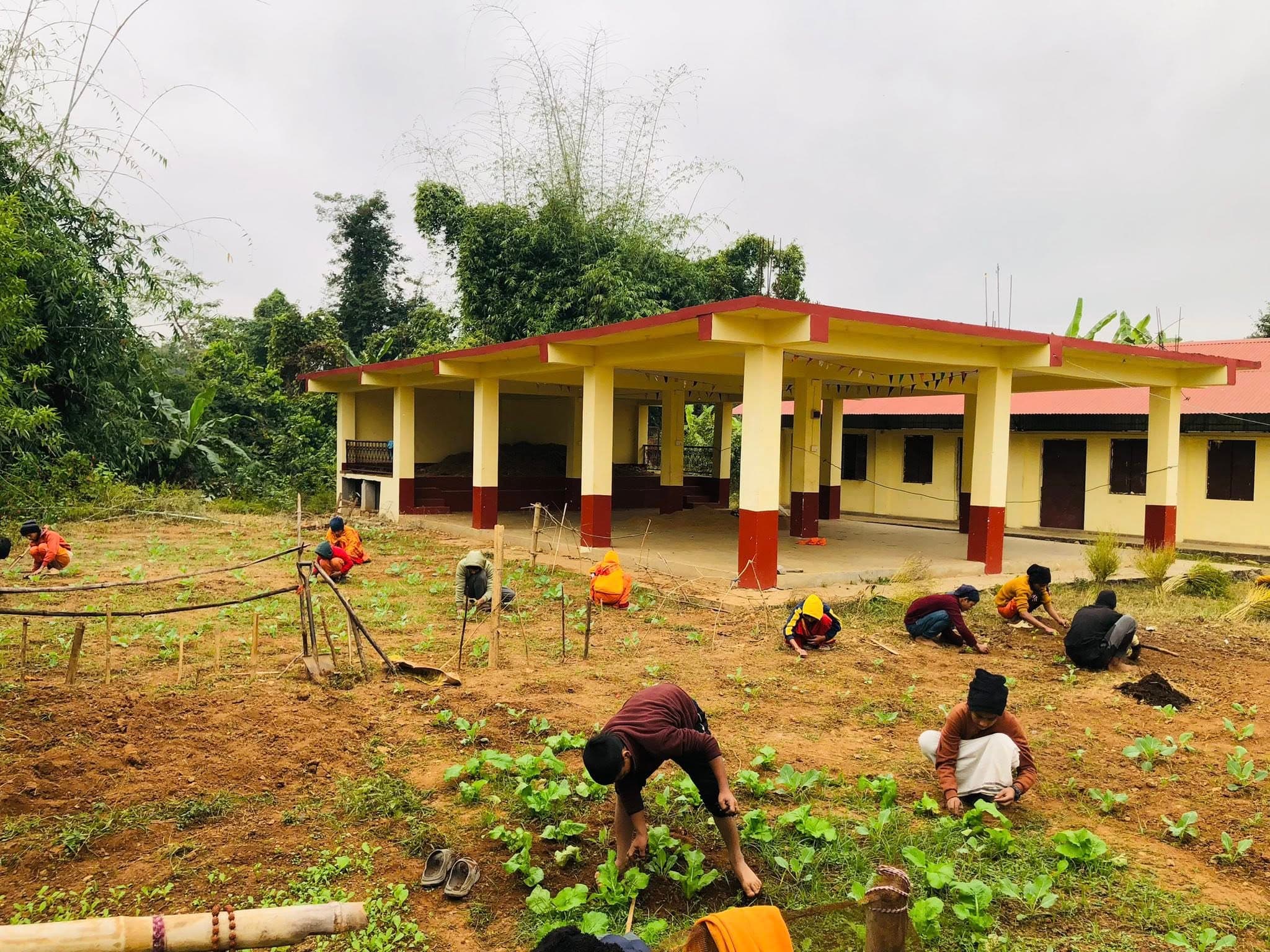 Students in nature and learning activities